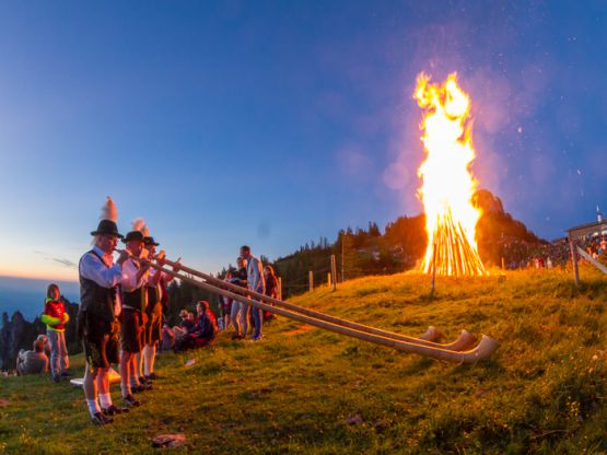 Chiemgau Appartement Waging am See